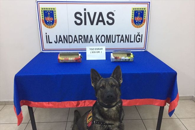 MEYVE SUYU KUTUSUNDA ESRAR ELE GEÇİRİLDİ