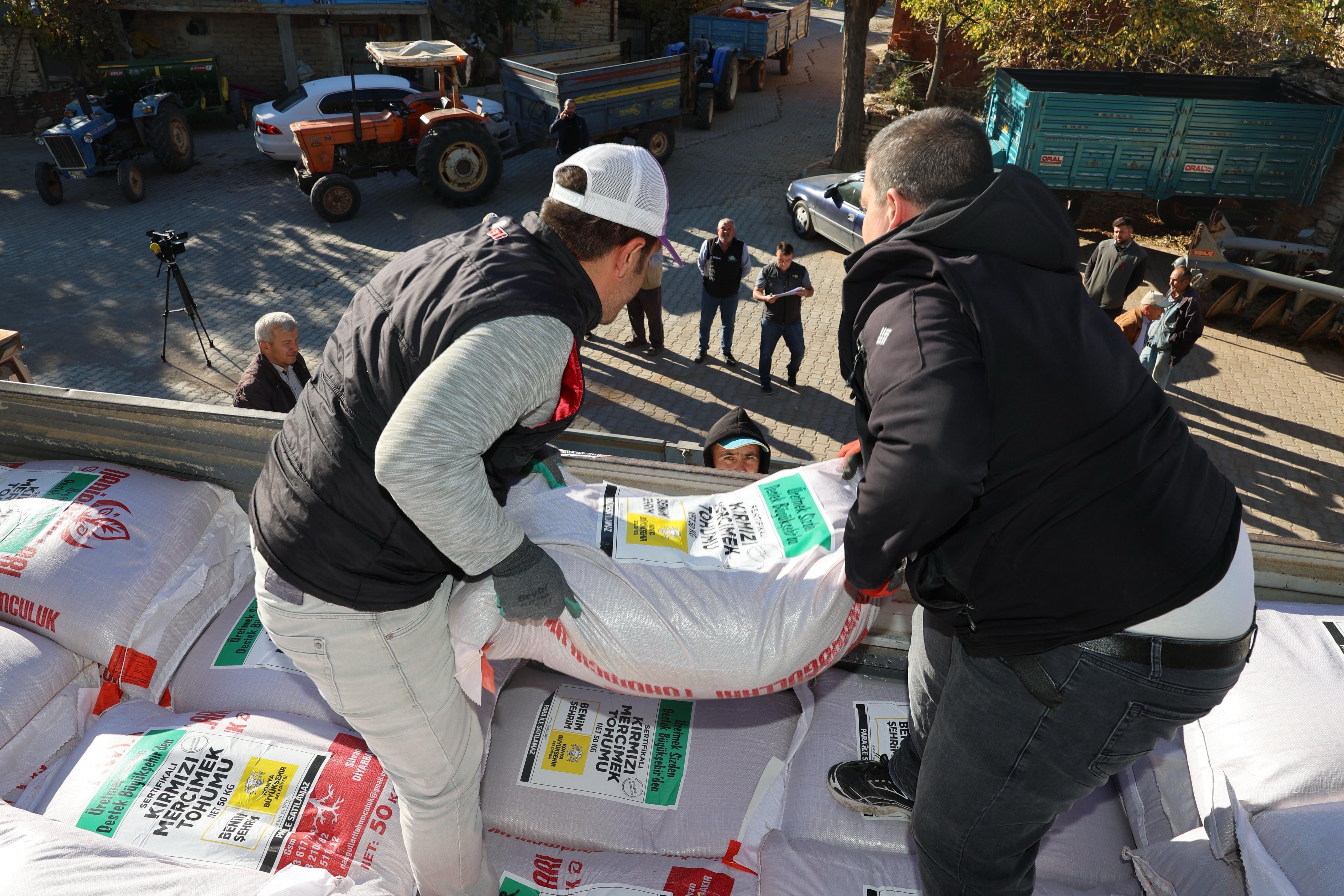 Çiftçiye kuraklığa dayanıklı mercimek tohumu desteği
