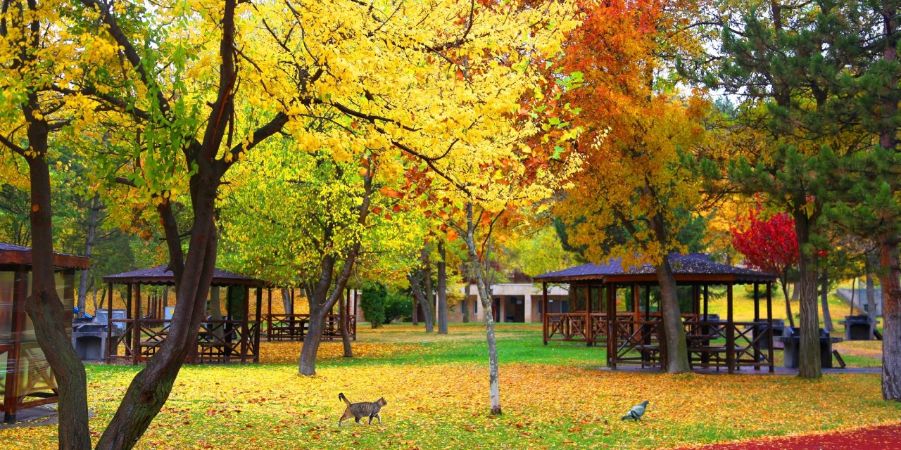 Sivas'ta eşsiz sonbahar manzaraları