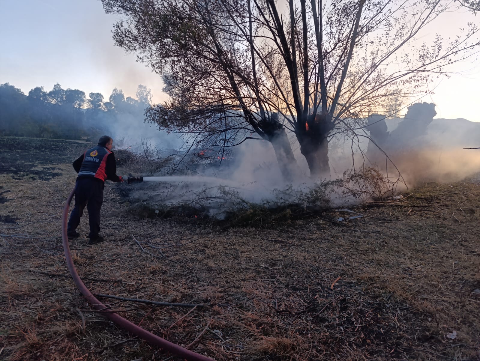 Sivas'ta çıkan anız yangınında 200 ağaç zarar gördü