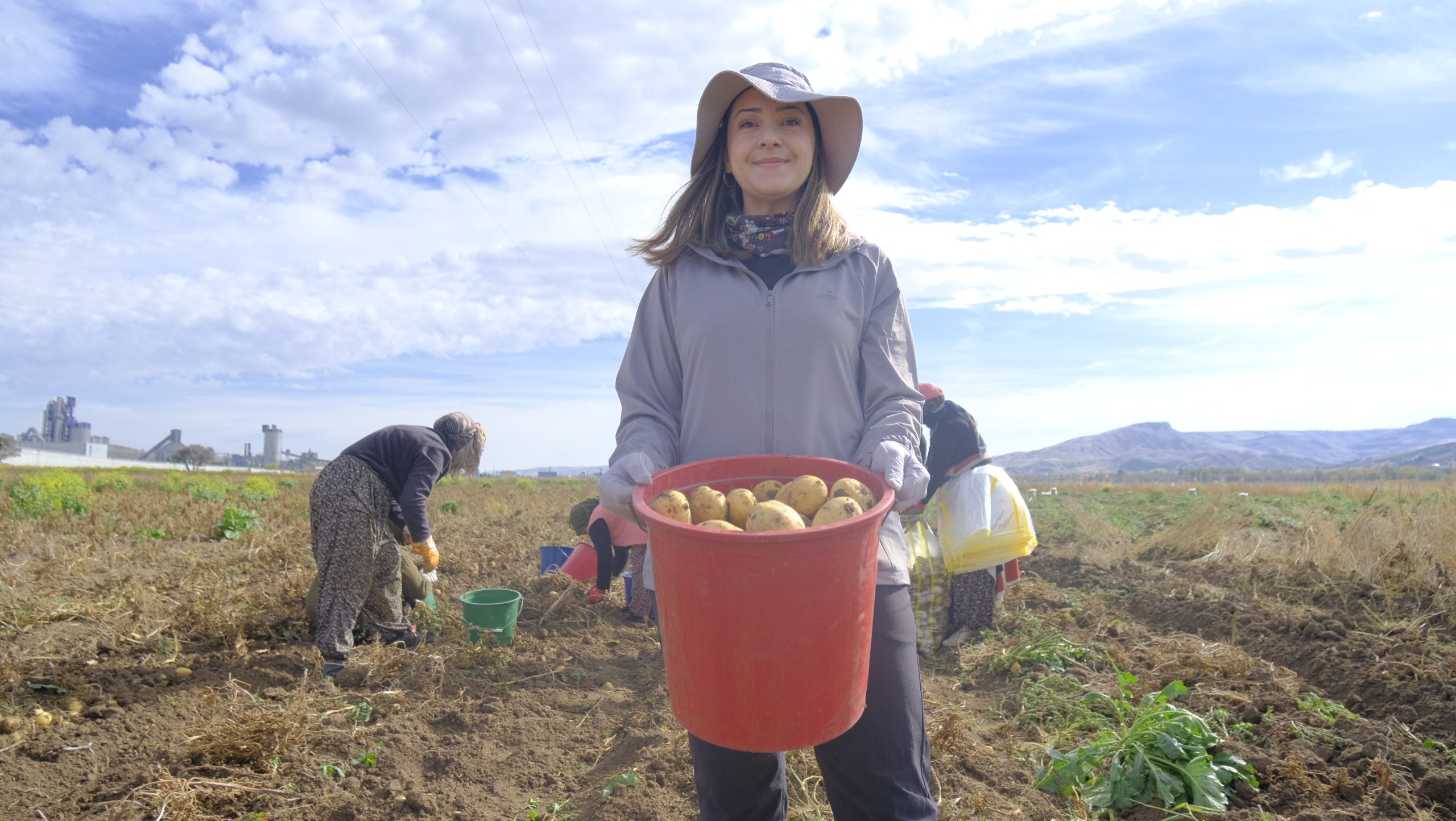 Sivas'ta 11 Patates Türüne Adaptasyon Testi Başlad