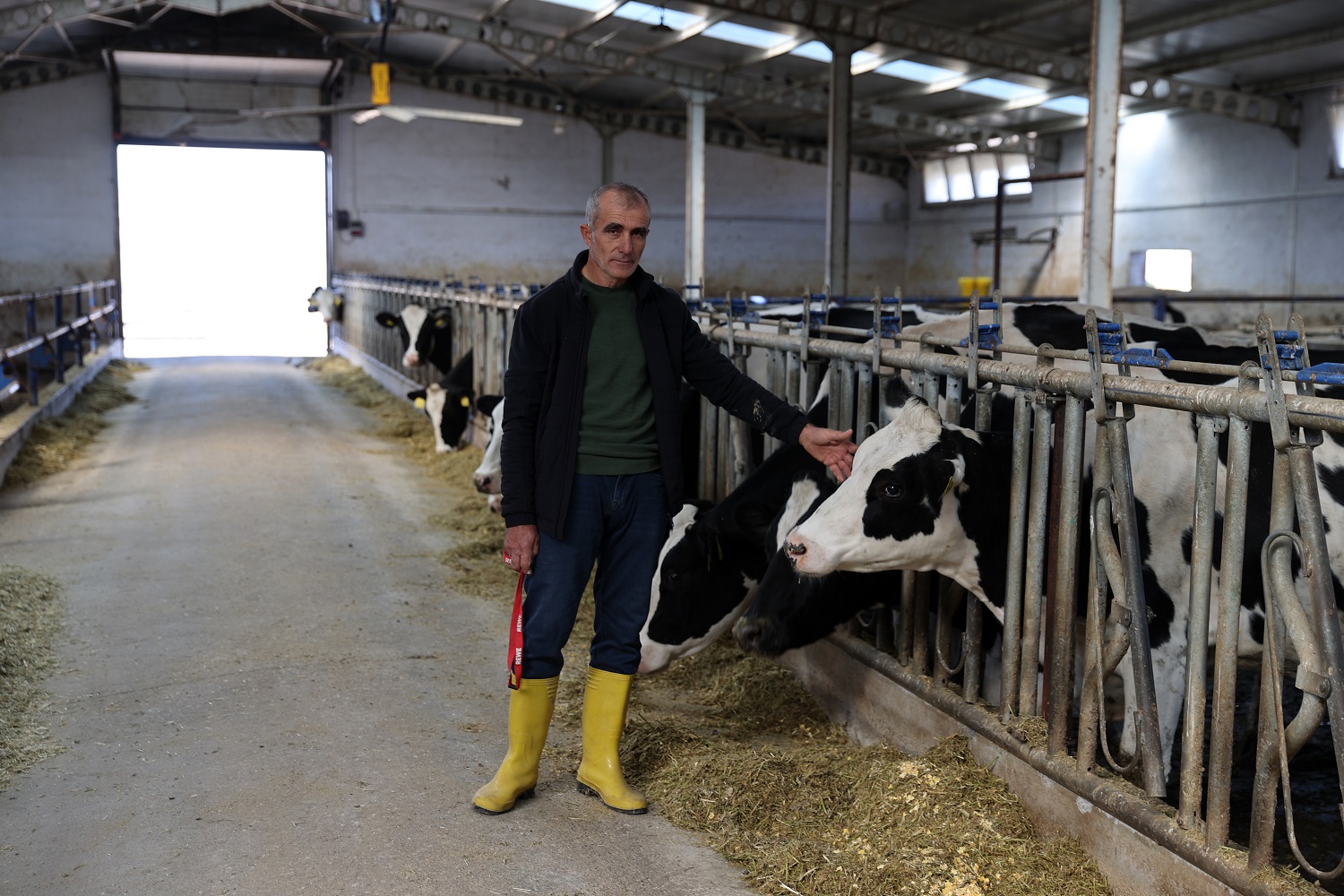 Sivaslı Çiftçi Samet Dağlar’dan 1 Tonluk Süt Üretimi