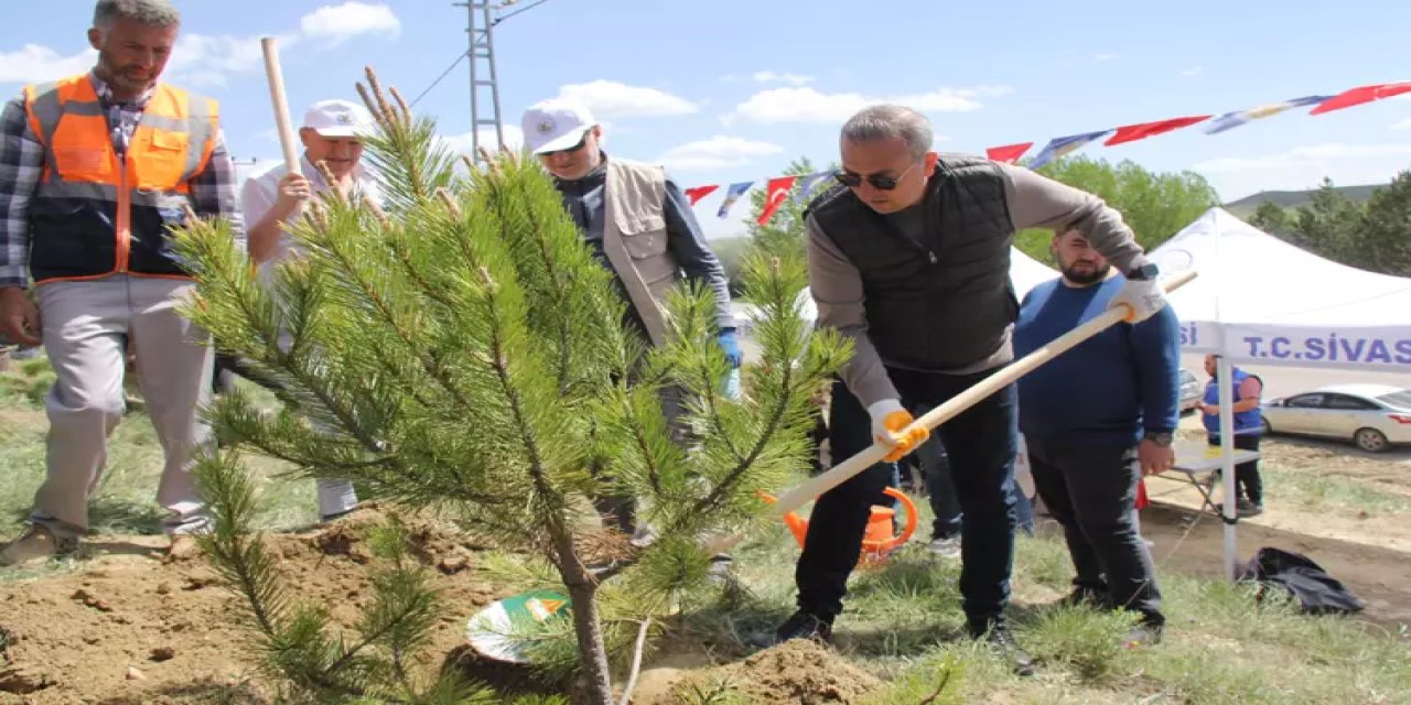 Sivas'ta 58 bin fidan Yazıcıoğlu için dikilecek