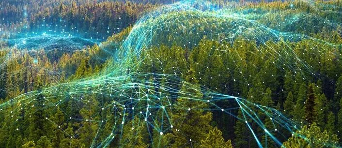 Orman yangınlarına karşı yapay zeka dönemi başladı