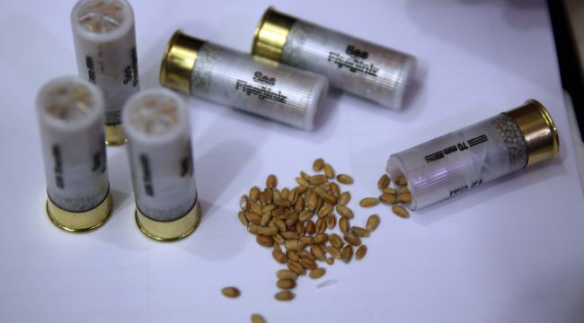 Tohum fişeğiyle yangın zararları hızla onarılacak