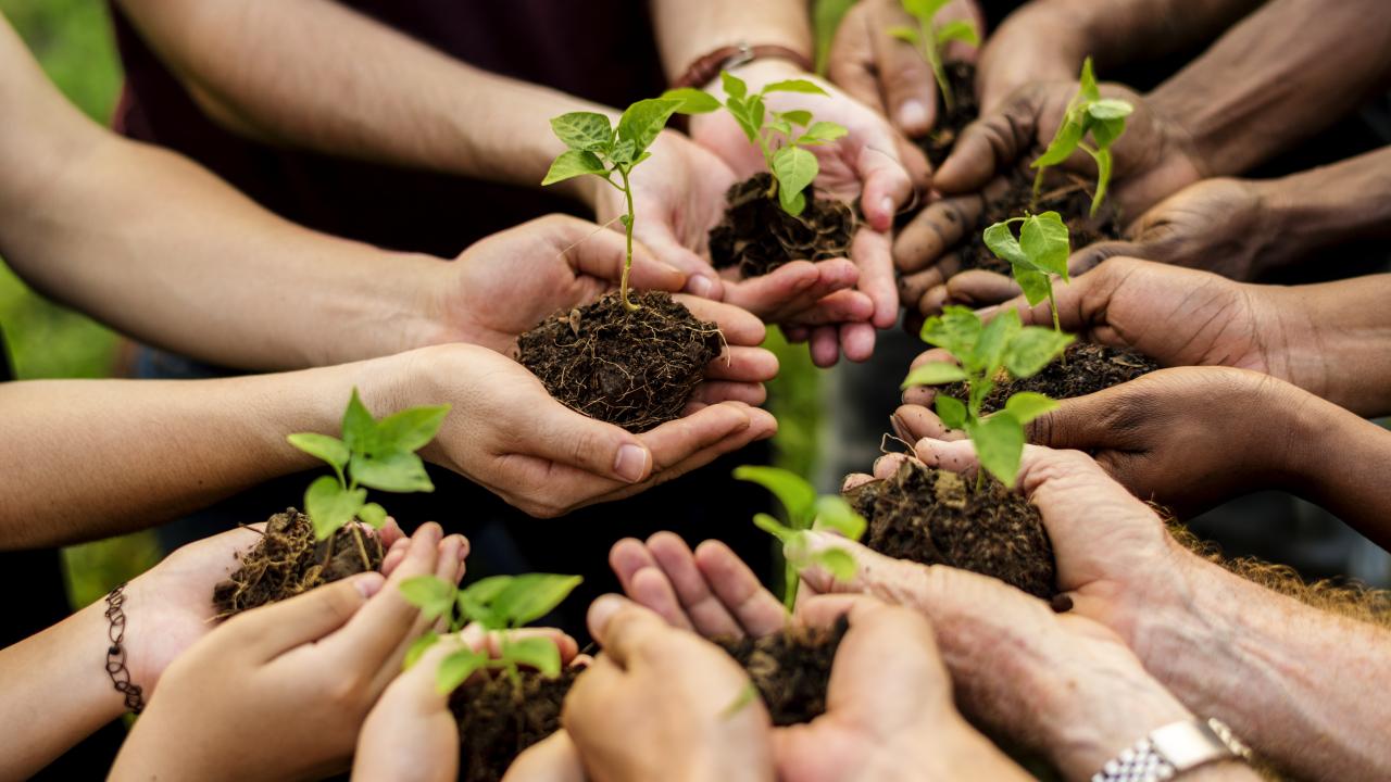 Sivas'ta "Muhsin Yazıcıoğlu Vefa Ormanı” Kuruluyor