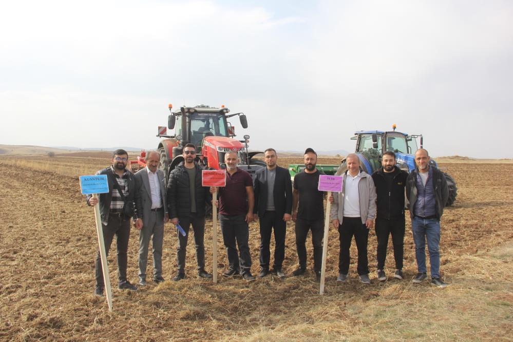 Sivas’ta 5 yeni ekmeklik buğday çeşidi toprakla buluştu