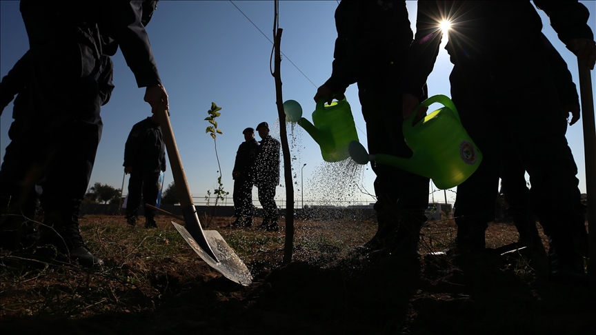 Sivas’ta yeşil miras: Ulaş ve Gemerek’te fidan dikimi