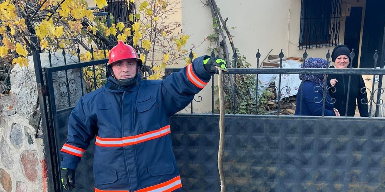 Sivas'ta evde yılan paniği