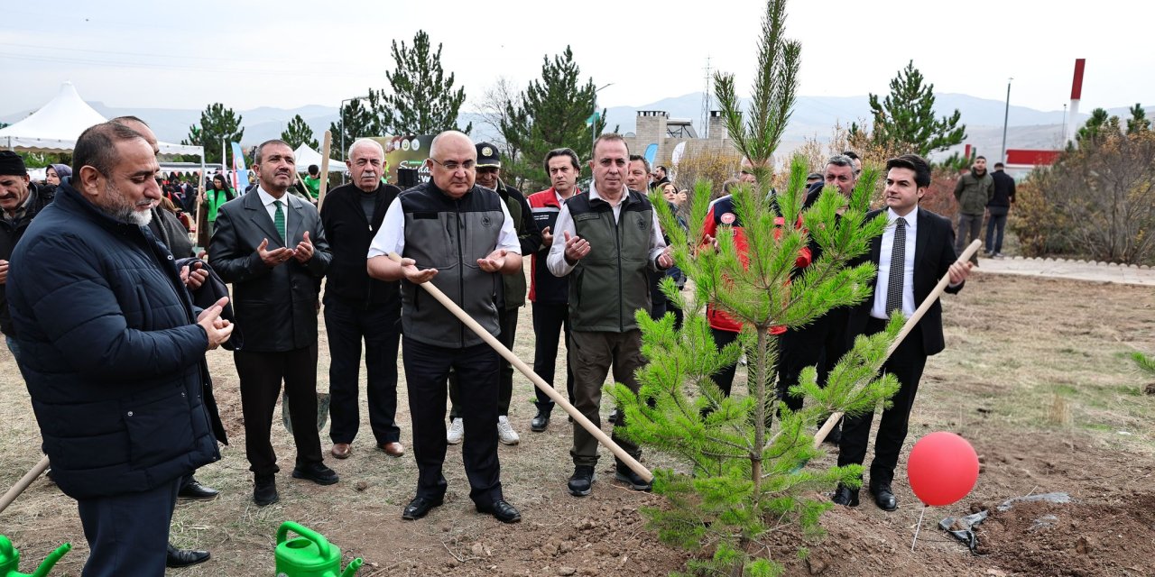Sivas'ta yeşil vatana nefes