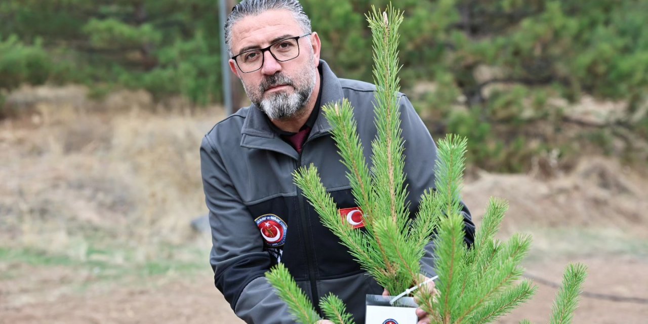 Sivas'ta 478 şehit anısına fidan dikildi