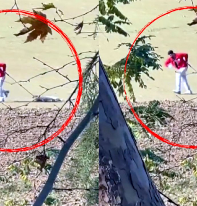 Sokak Köpeğini İple Sürükleyen Belediye Çalışanı Serbest Bırakıldı