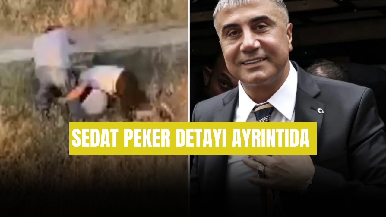 Şehit Bedirhan Bebeğin Babasını Darp Edenlerden Özür Videosu