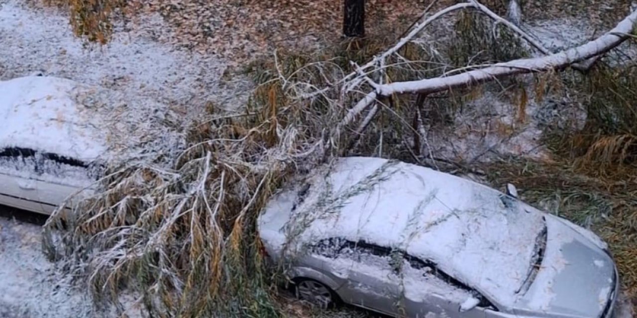 Sivas'ta kar ağaçları devirdi, araçlar zarar gördü