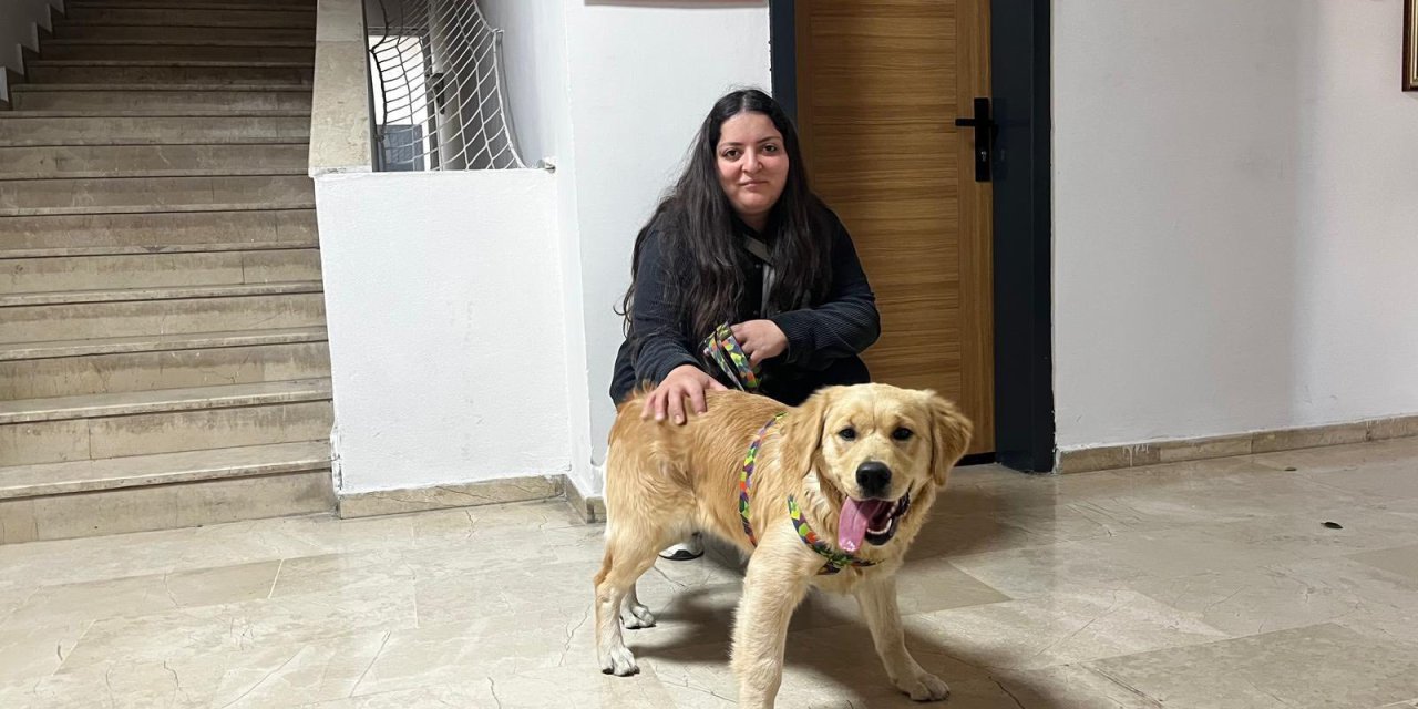 Sivas’ta evcil hayvanlar için 31 Aralık uyarısı