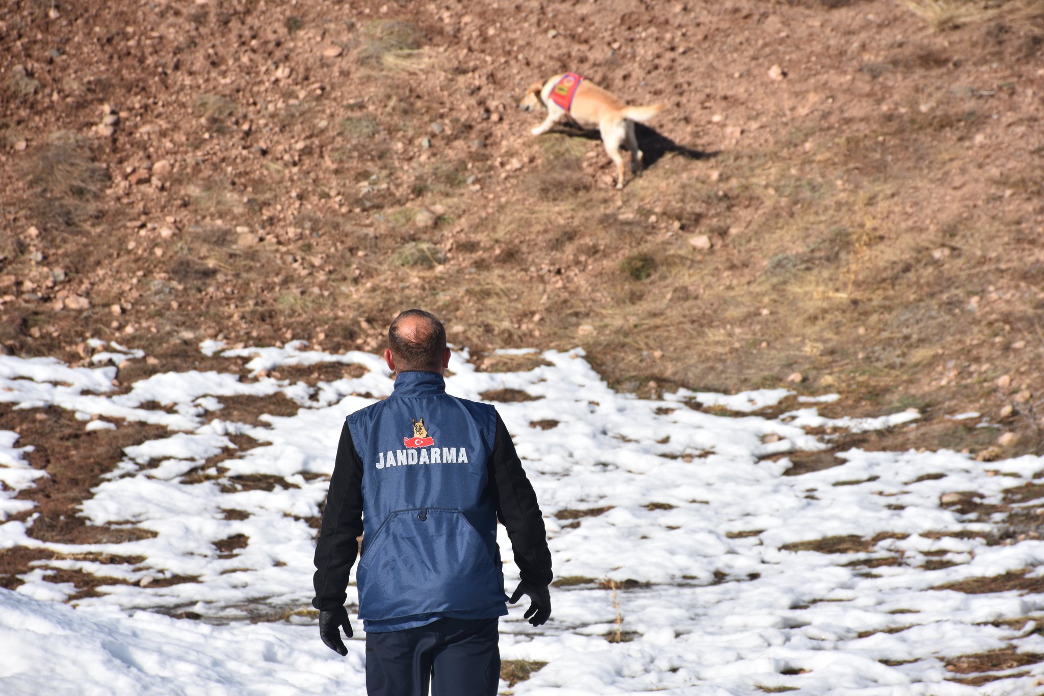 İz Takip Köpeği Palet, Sivas’ta Kaybolan Musa Uygun’un İzinde