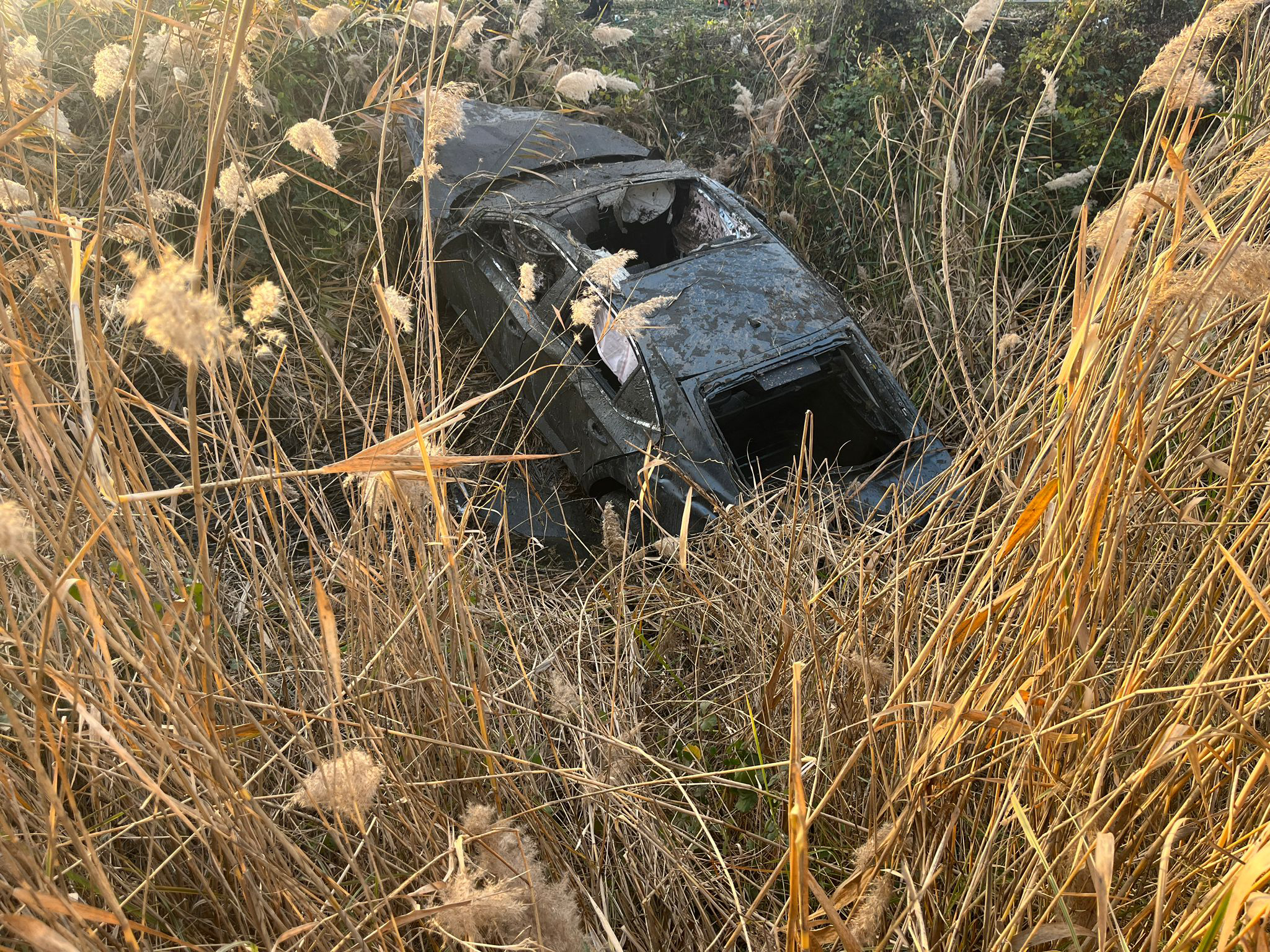 Otomobil, sazlık alana uçtu; 2 ölü, 1 yaralı