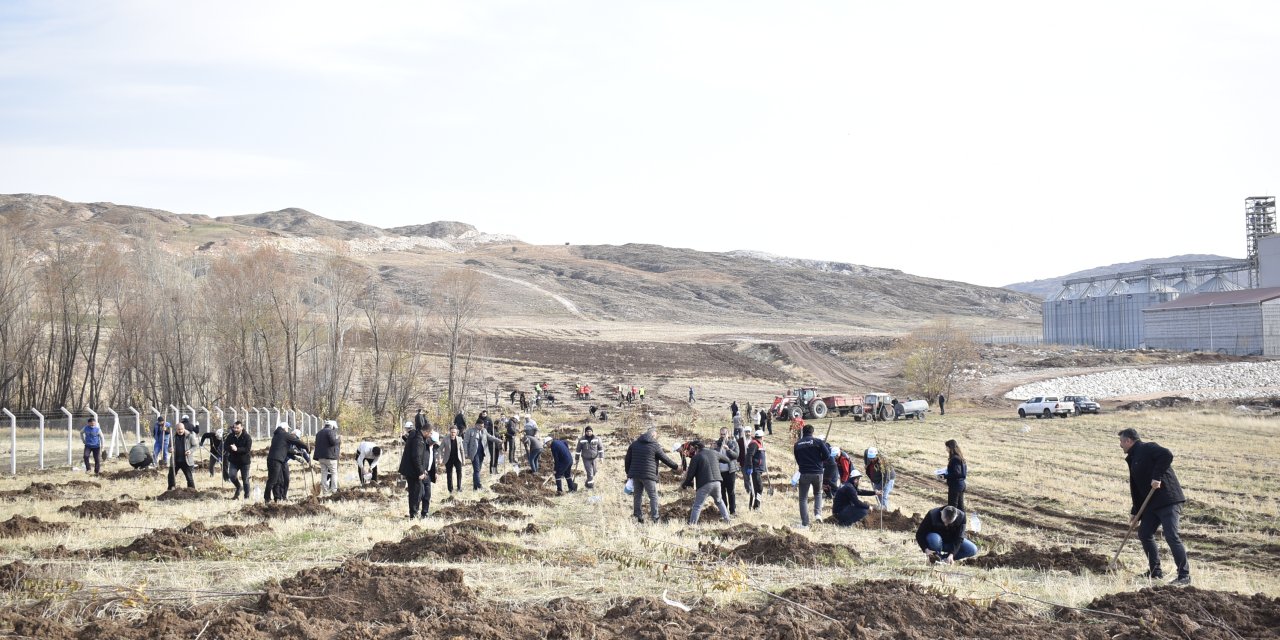 Sivas'ta sanayiye yeşil dokunuş