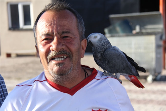 PAŞA İDMANI TAKİP ETTİ