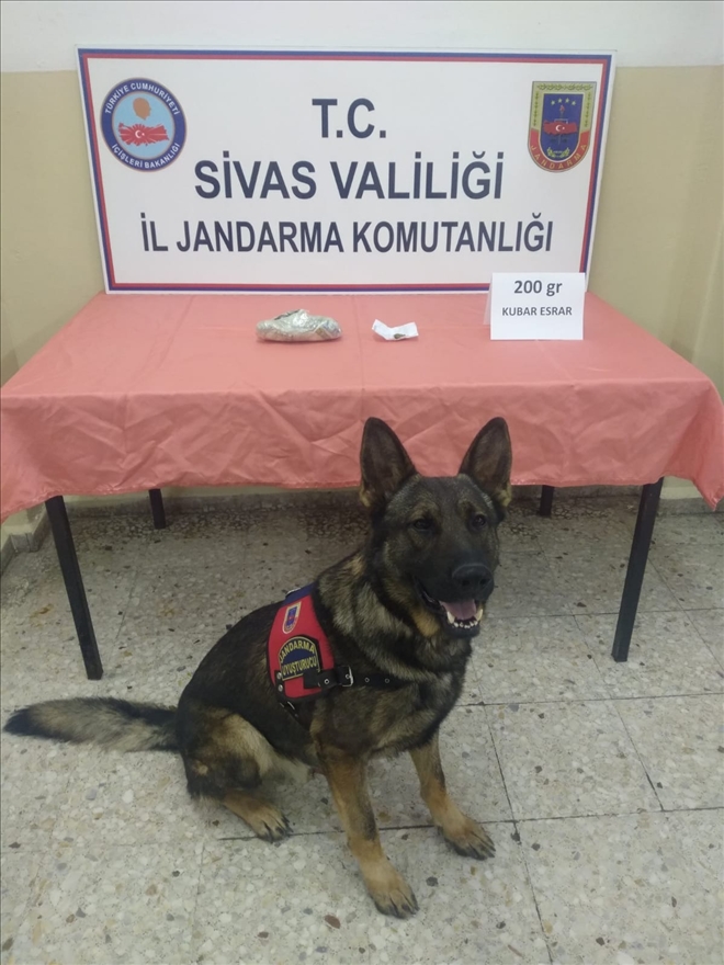 Kaçakçılık ve  Uyuşturucudan  10 GÖZALTI