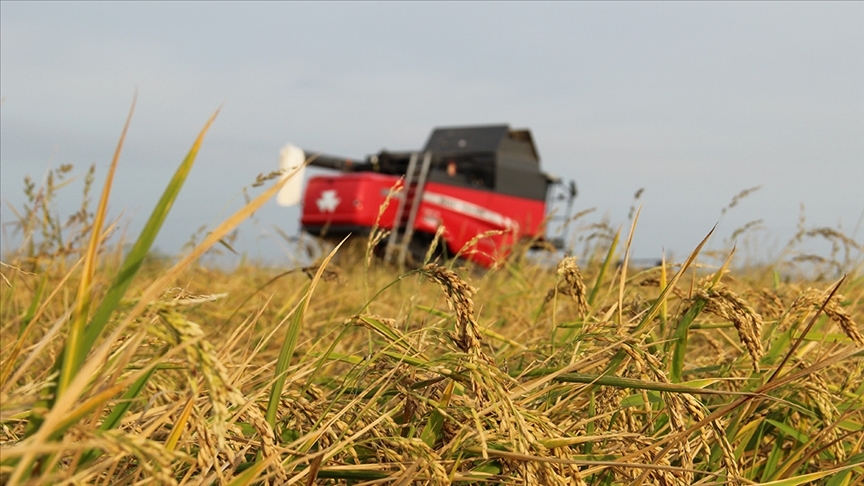 Çiftçilere 4,2 milyar lira hasar tazminatı ödendi