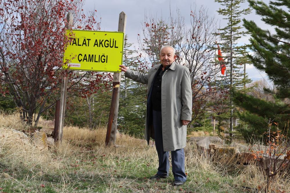 Sivas Çukurbelen köyü 3 Bin ağaçla bozkırı yeşile büründürdü