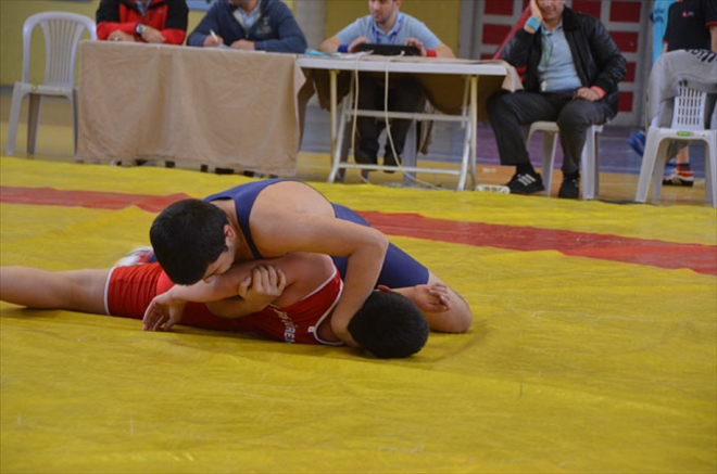 ADIYAMAN´DAN 7 FİNAL VİZESİ ÇIKTI