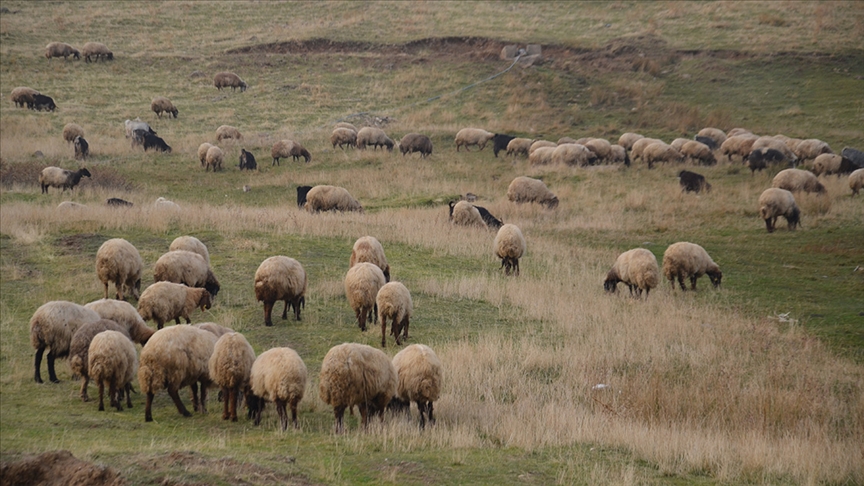 Islah Projeleri"ne 2,7 milyar lira destek sağlandı