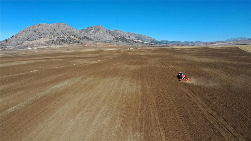 Çiftçilere kuraklığa dayanıklı tohum önerisi