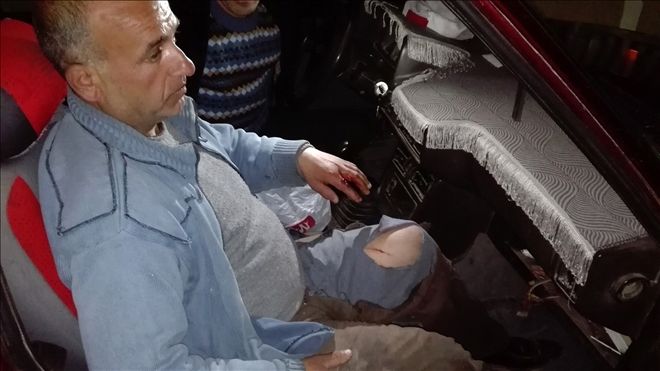 DOMUZUN SALDIRDIĞI ÇOBAN YARALANDI