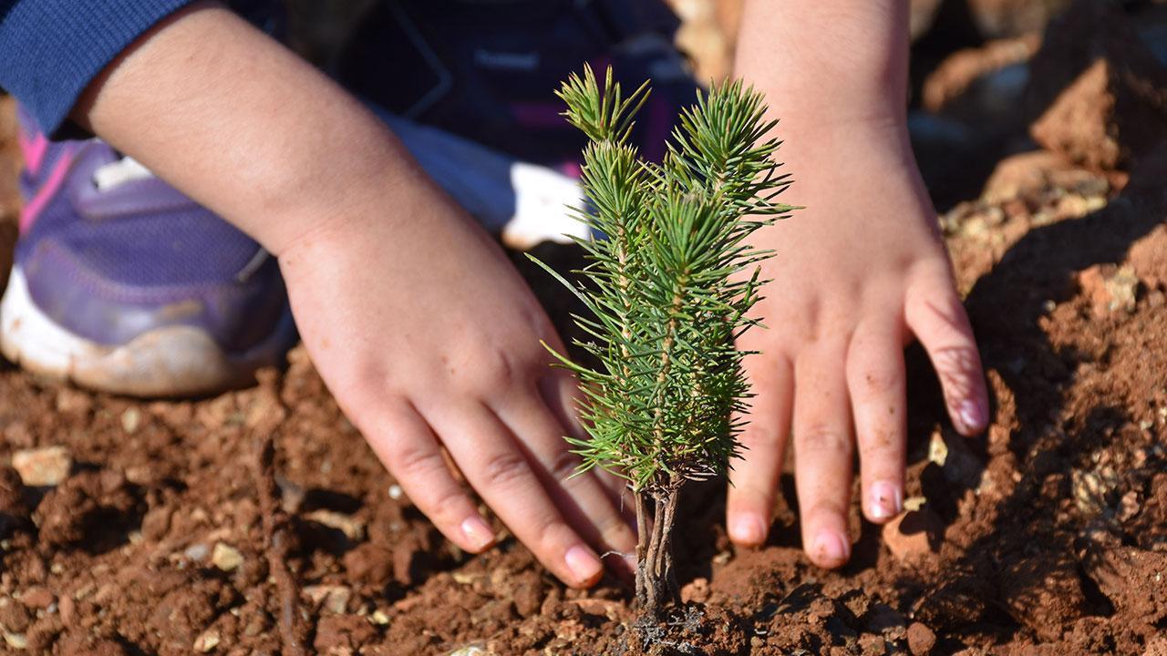 Sivas Çandır Köyünden Anlamlı Kampanya