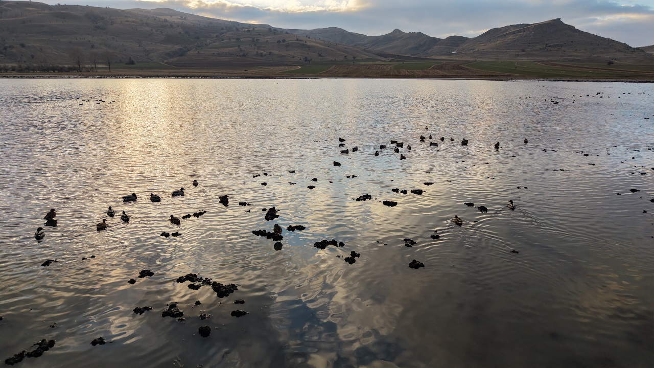 Sivas’ta Bingöl Gölü Yeniden Hayat Buldu