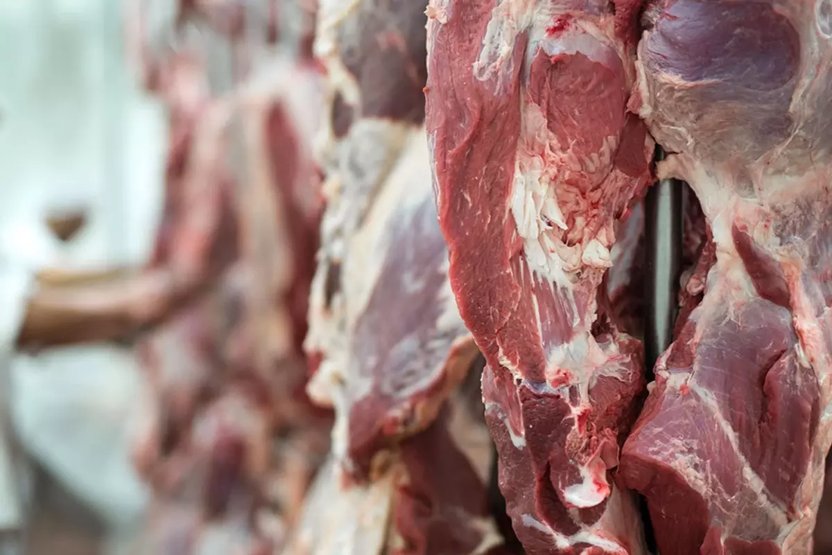 Şap Hastalığı Et Piyasasını Vurdu: Fiyatlar Yükseliyor