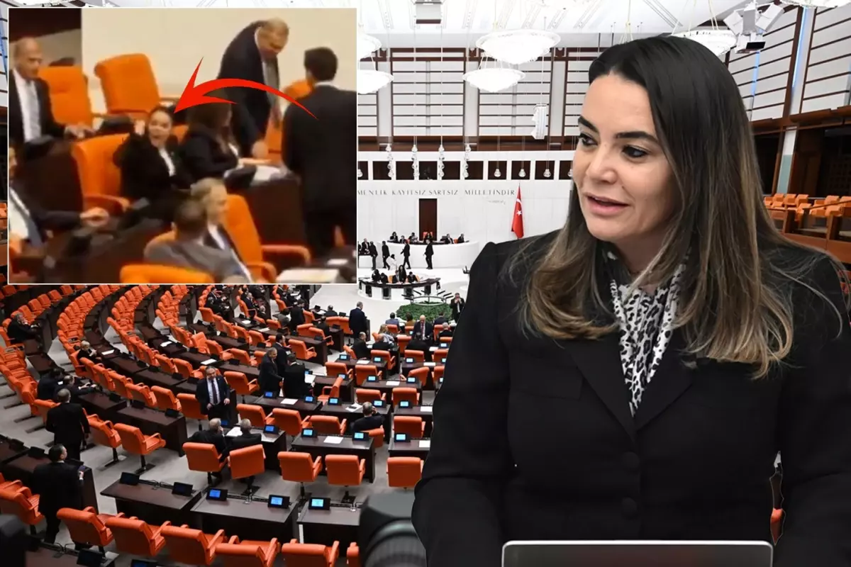 Türkeş’in Kızından Öcalan Çıkışı, Meclis’i Karıştırdı