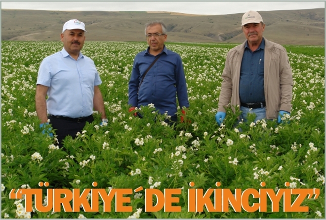 ?TÜRKİYE´DE İKİNCİYİZ?