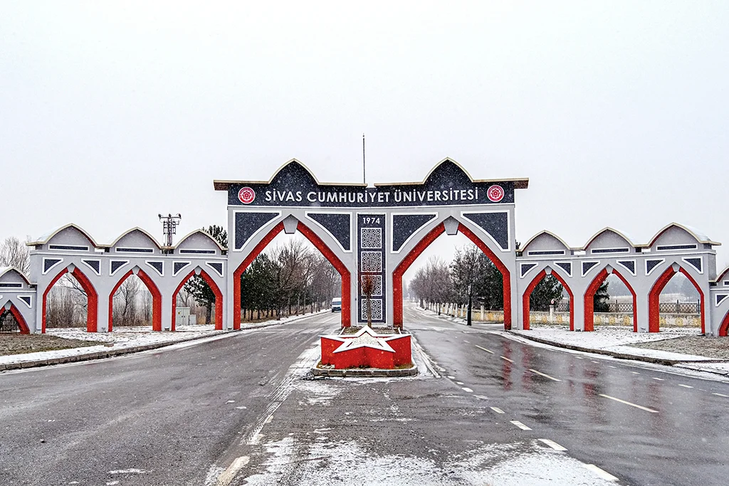 HASTANE İDARİ YÖNETİCİLİĞİ İÇİN VİDALI VAKUM POMPASI ALIMI