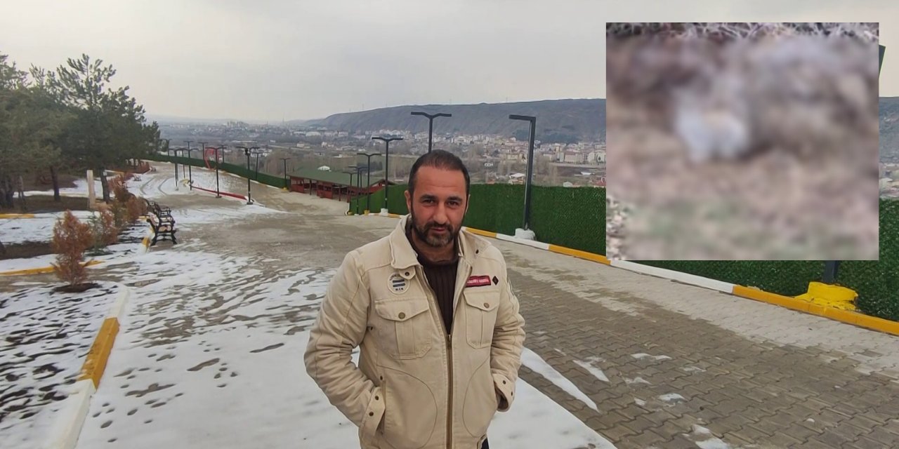 Sivas'ta Kedi Sandığı Hayvan Bakın Ne Çıktı