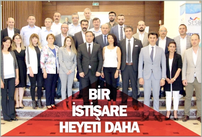 BİR İSTİŞARE HEYETİ DAHA