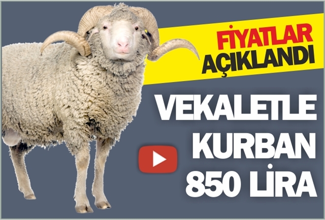 Vekaletle kurban 850 Lira