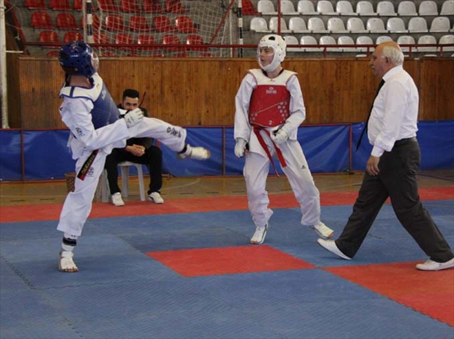 TEKVANDO TÜRKİYE ŞAMPİYONASI