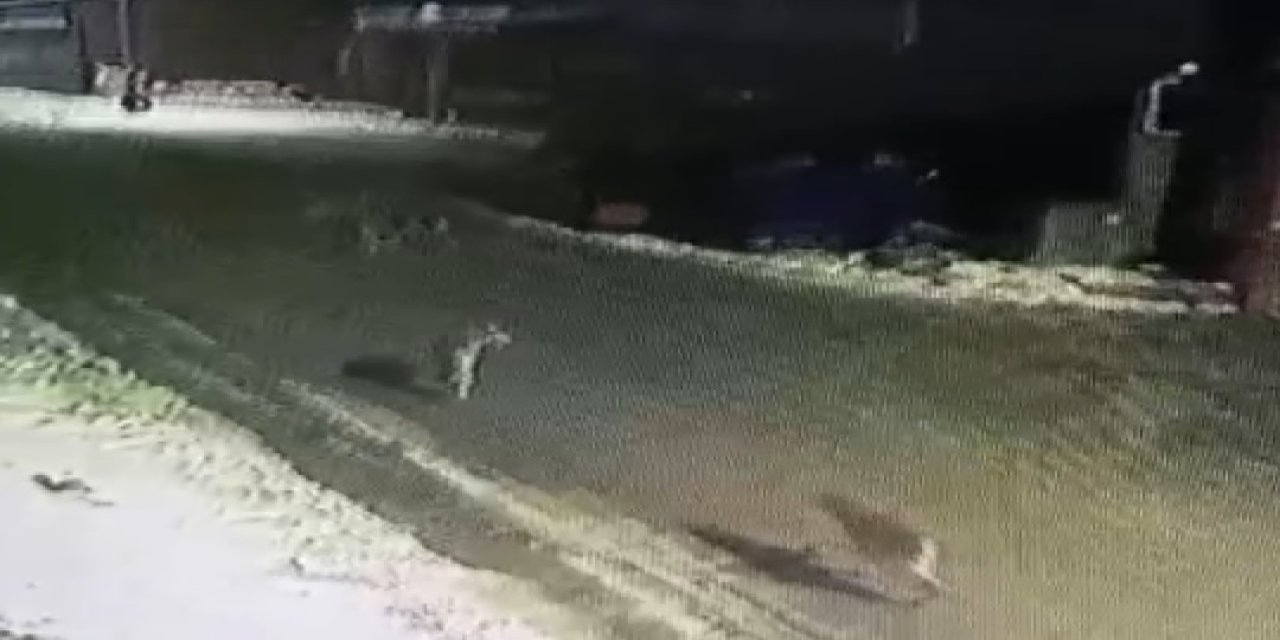 Kurtlar Vadisi: Sivas