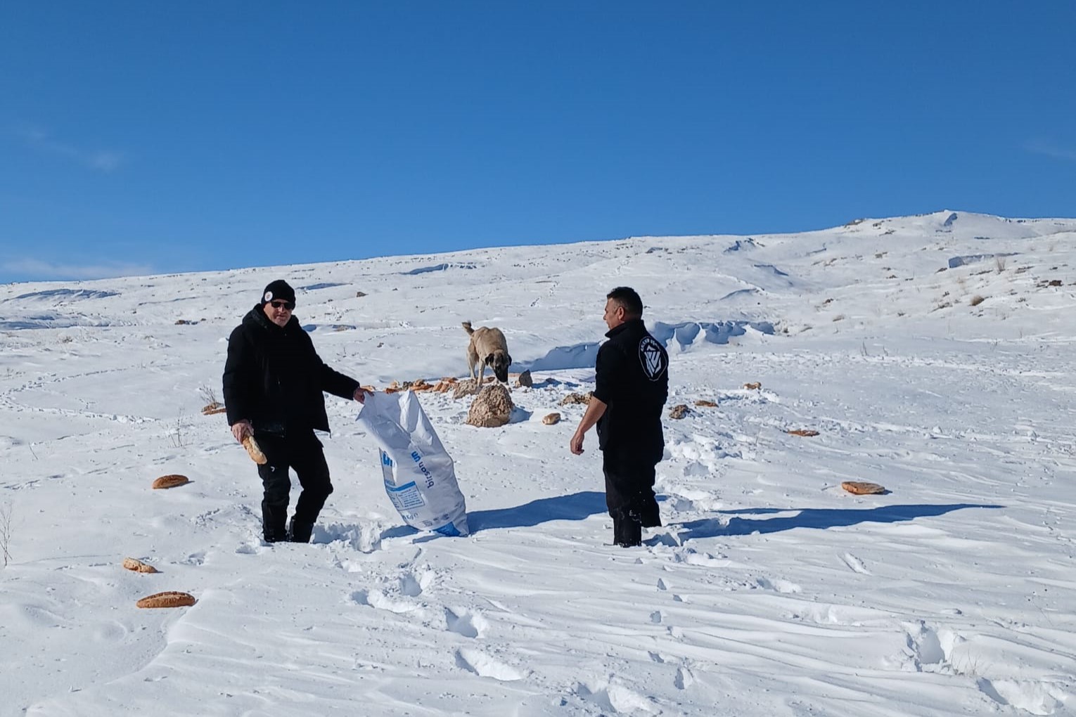 Sivas’ta Doğadaki Canlar İçin Gönüllü Hareket