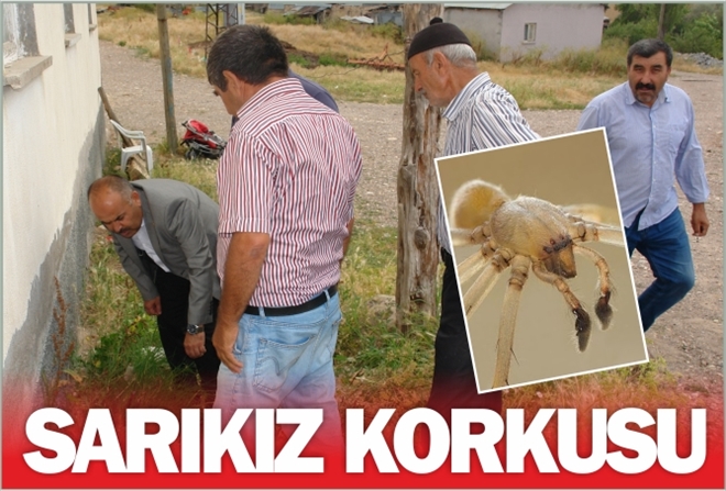 ?SARIKIZ´ KORKUSU