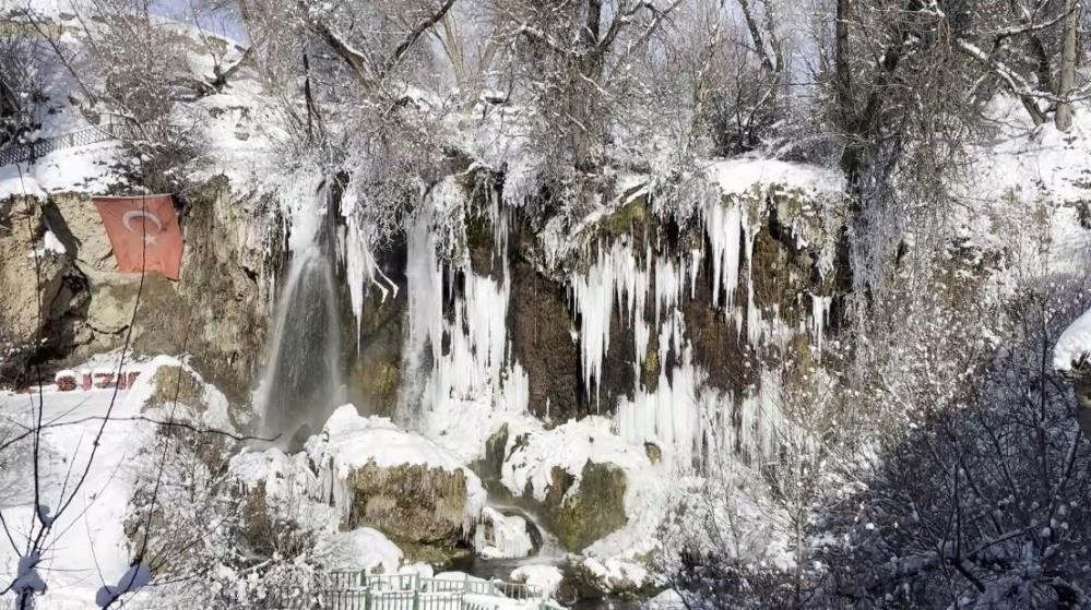 Sivas’ta ayaz doğayı heykele çevirdi