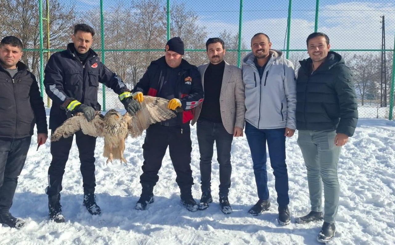 Sivas’ta öğrencilerin dikkati puhu kuşunu hayata bağladı