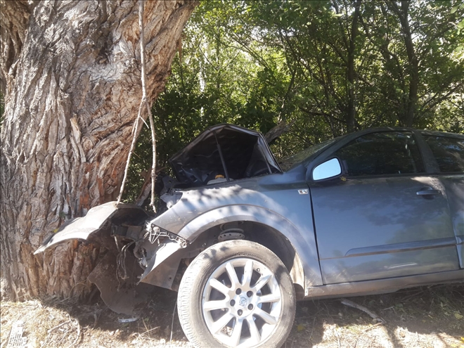 DİREKSİYON BAŞINDA UYUDU: 2 ÖLÜ