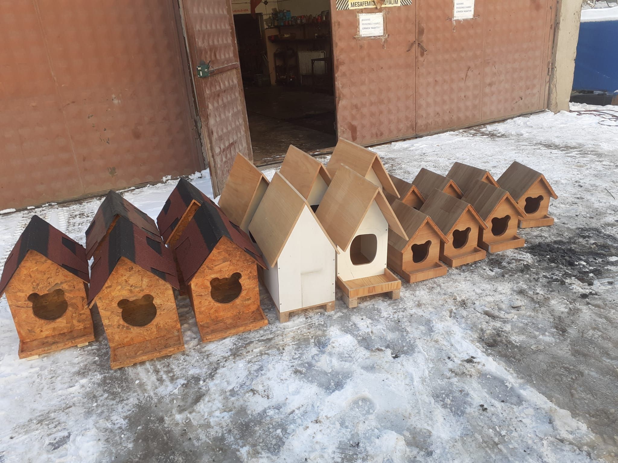 Sivas'ta Sokak Kedilerine Şefkat Eli