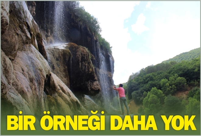 BİR ÖRNEĞİ DAHA YOK