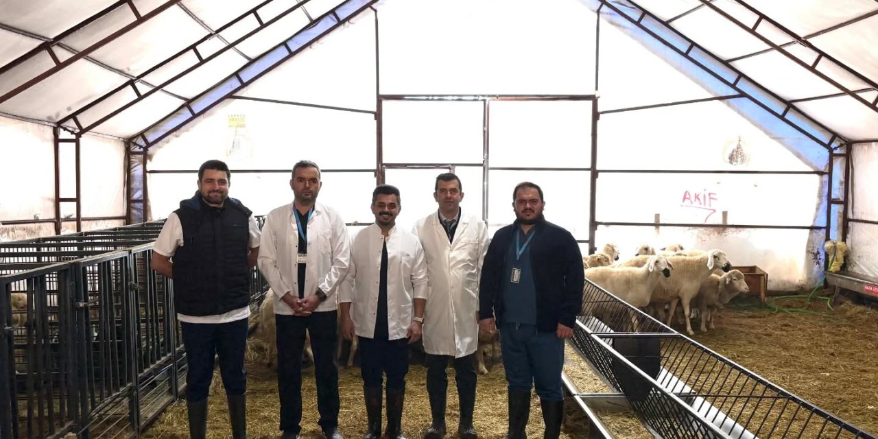 Sivas Cumhuriyet Üniversitesi Veteriner Fakültesine TÜBİTAK Desteği