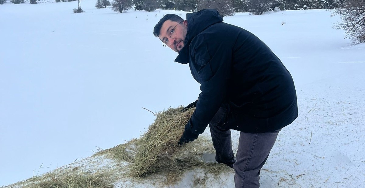 Sivas’ta yabani hayvanlara kış desteği